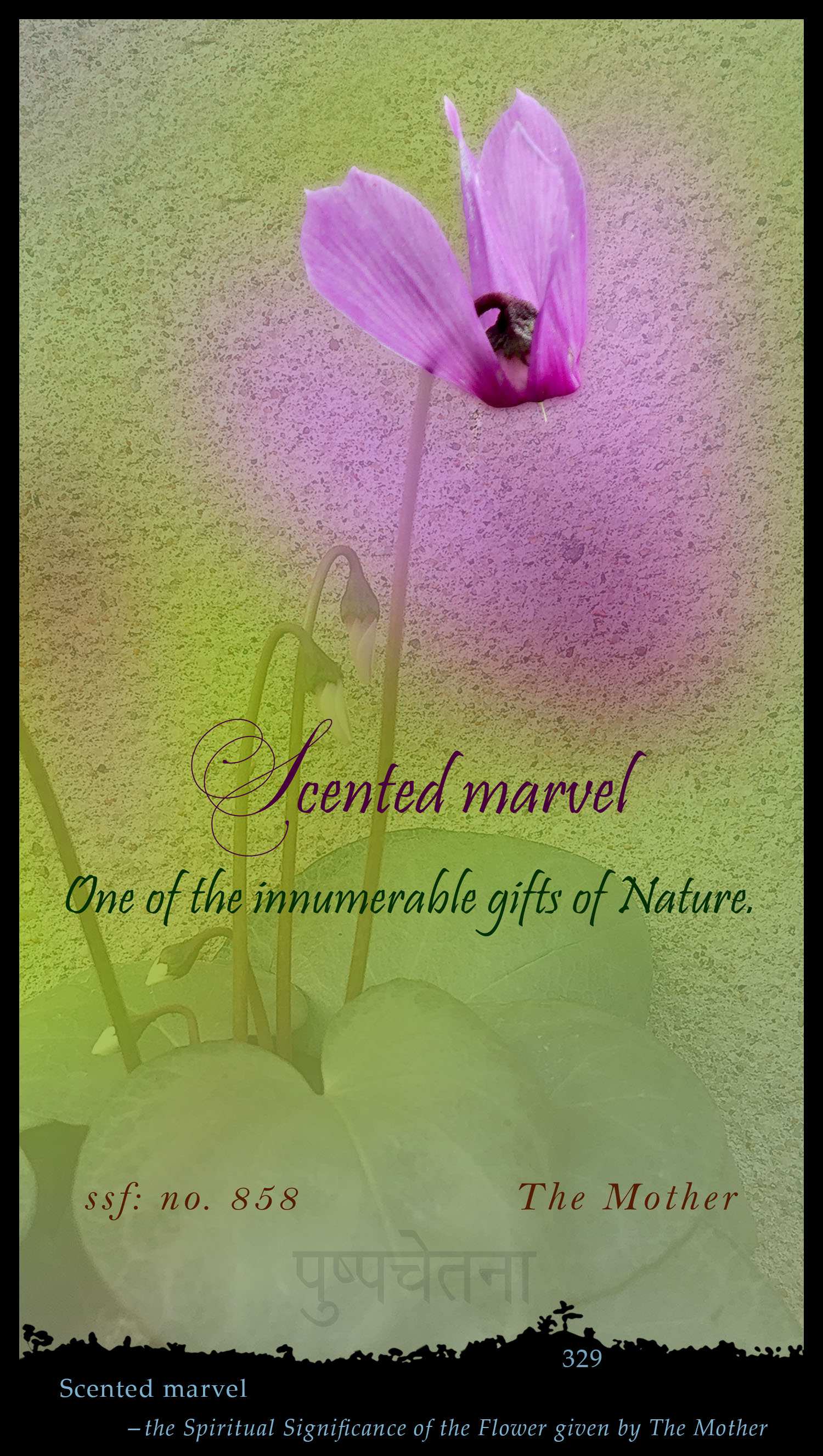 Scented Marvel